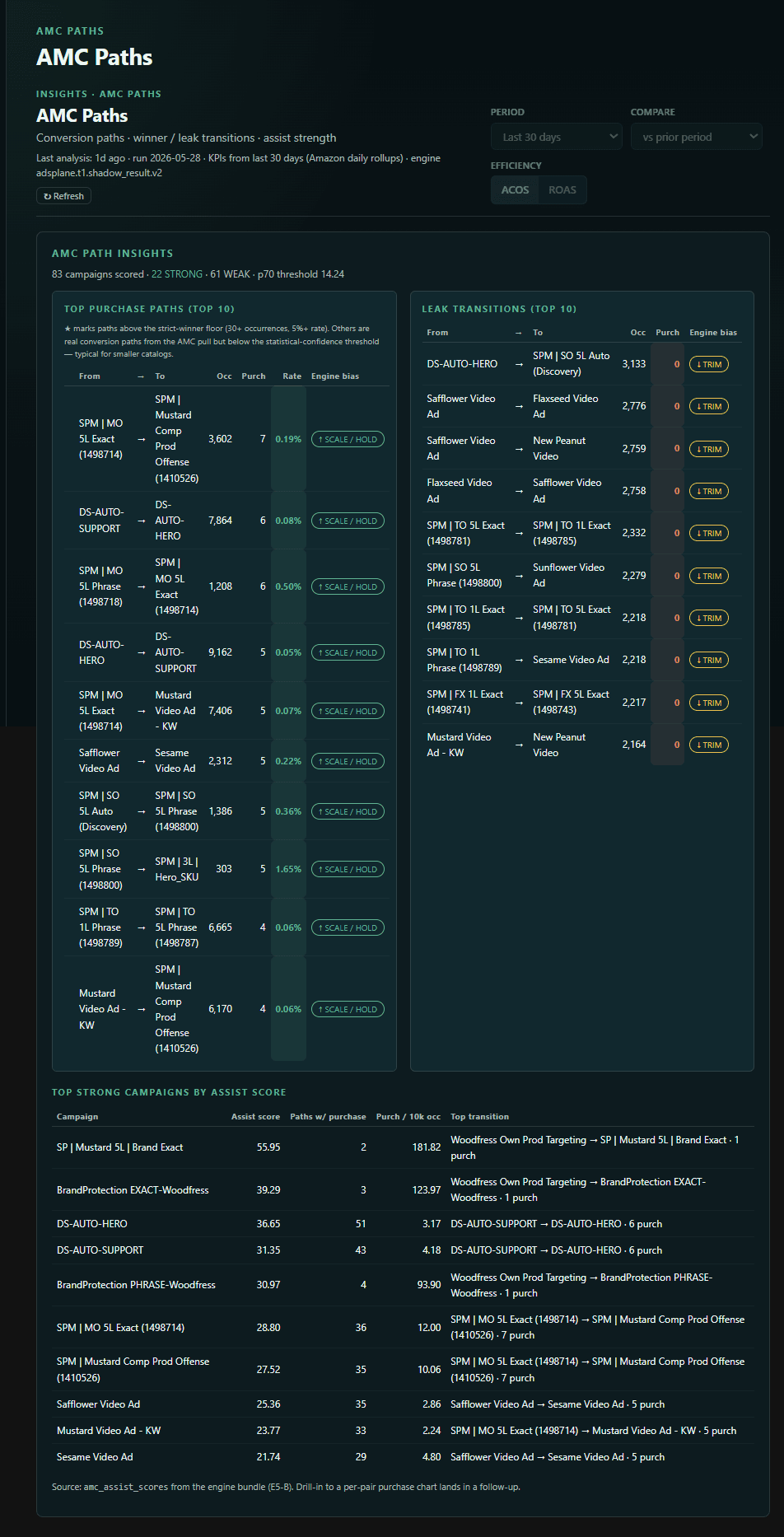 AdsPlane — AMC path-to-conversion